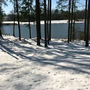 Meet your Posher, Wanda